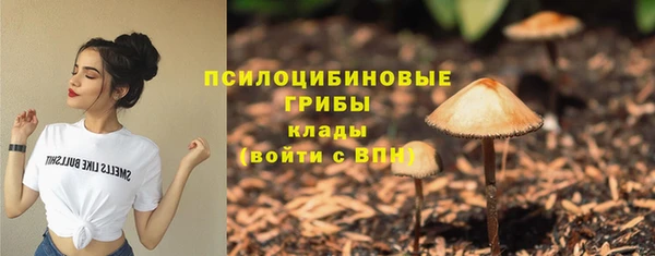 герыч Арсеньев