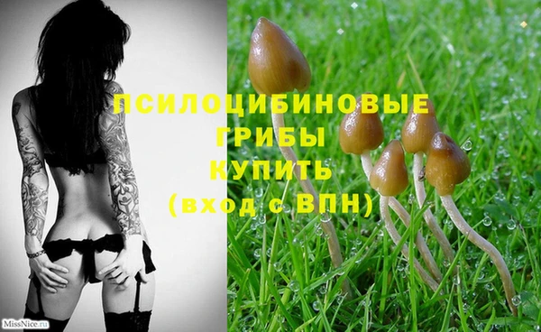 стафф Армянск