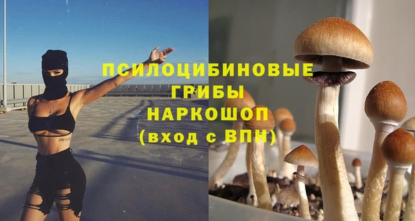 каннабис Инта