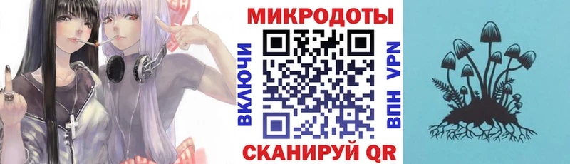 где можно купить   Учалы  Псилоцибиновые грибы Psilocybe 